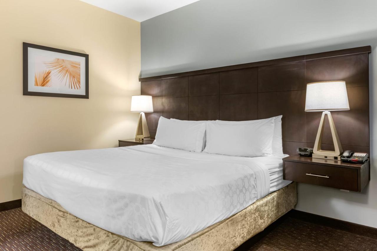 Staybridge Suites St. Petersburg Fl By Ihg Kültér fotó