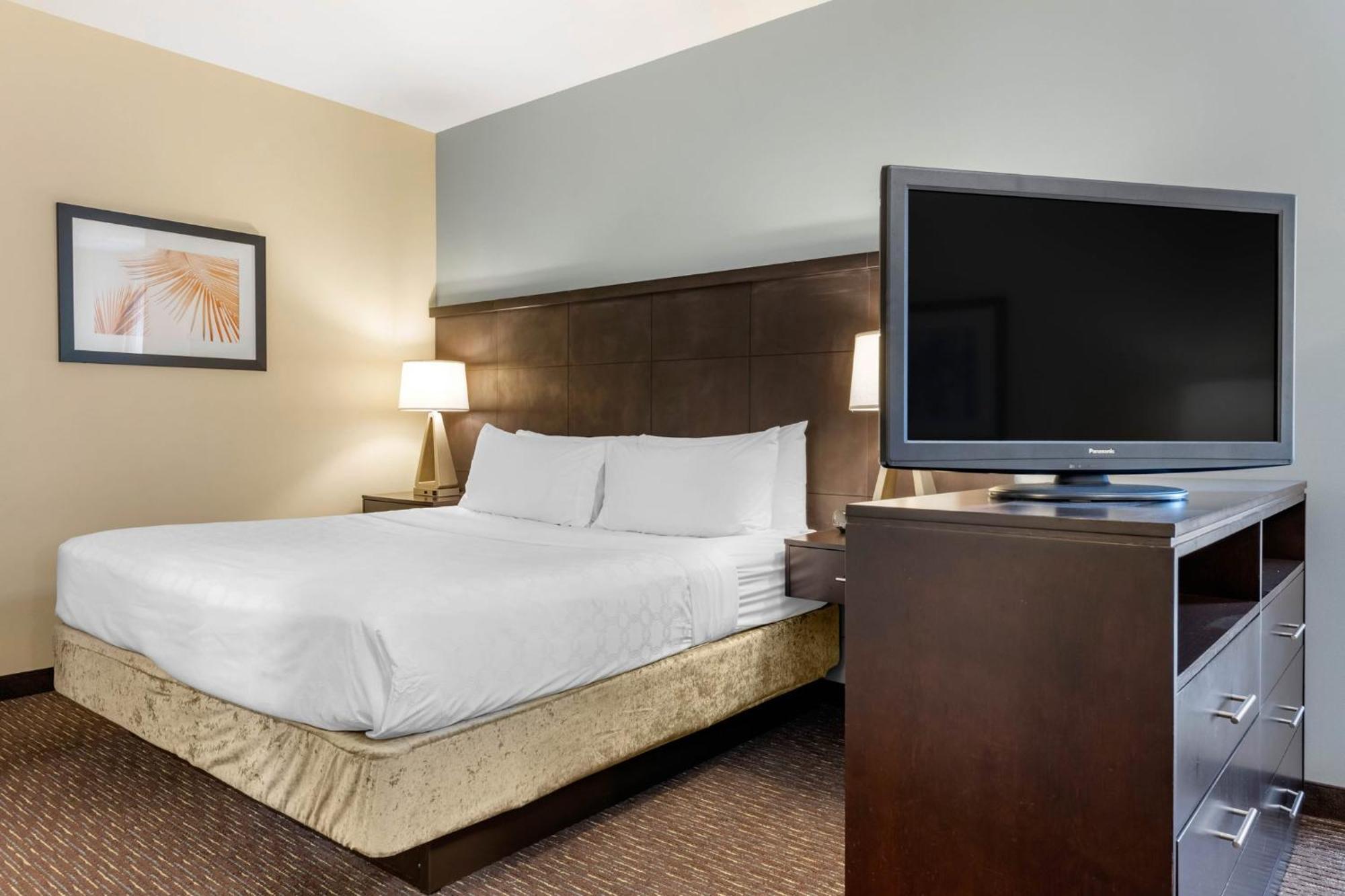 Staybridge Suites St. Petersburg Fl By Ihg Kültér fotó